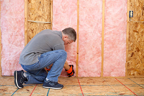 Best Insulation Maintenance and Repair in Bel Air South, MD