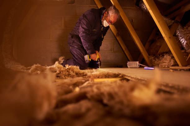 Best Insulation Installation Services in Bel Air South, MD